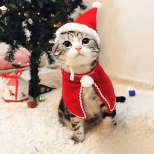 Nón Mũ Noel Giáng Sinh Cho Chó Mèo