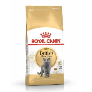 Trang Chủ Hạt Cho Mèo Anh Lông Ngắn Trưởng Thành Royal Canin British Shorthair Adult Hạt Cho Mèo Anh Lông Ngắn Trưởng Thành Royal Canin British Shorthair Adult