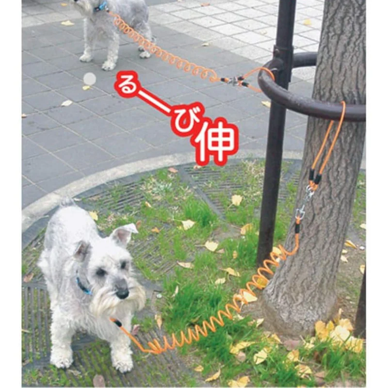 Dây Dắt Lò Xo Cho Chó Doggyman 4M (<30kg)