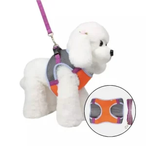 Dây Dắt Yếm Thoáng Khí Diamond Cho Chó Mèo