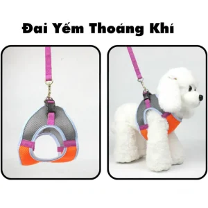 Alternative view of Dây Dắt Yếm Thoáng Khí Diamond Cho Chó Mèo