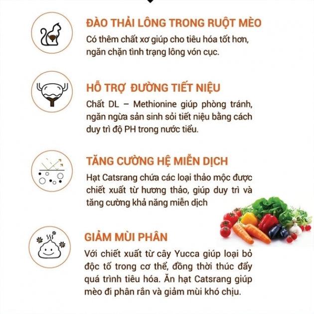 Hạt Cho Mèo Mọi Lứa Tuổi Catsrang - Ảnh 4
