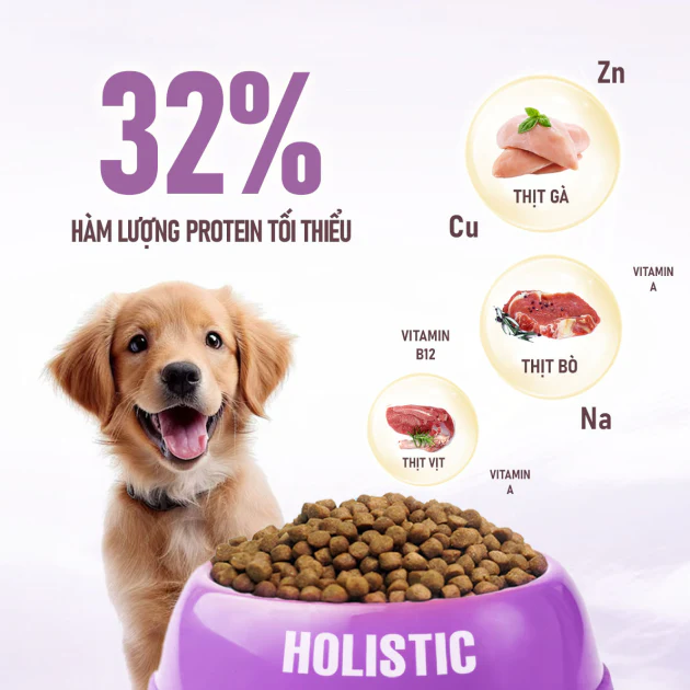 Hạt Cho Chó Mọi Lứa Tuổi ANF Holistic - Ảnh 4