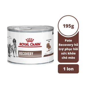 Pate Cho Chó Mèo Phục Hồi Sức Khỏe Royal Canin Recovery Lon 195g