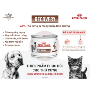 Alternative view of Pate Cho Chó Mèo Phục Hồi Sức Khỏe Royal Canin Recovery Lon 195g