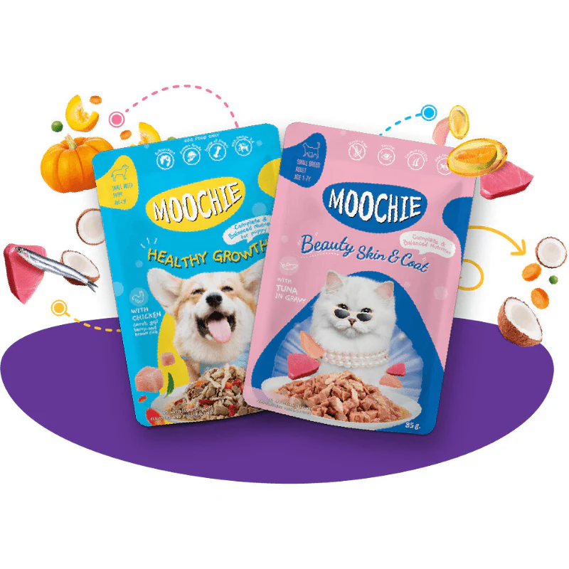 Pate Cho Chó Mọi Lứa Tuổi MooChie Gà Sốt 85g (Thái Lan) - Ảnh 3