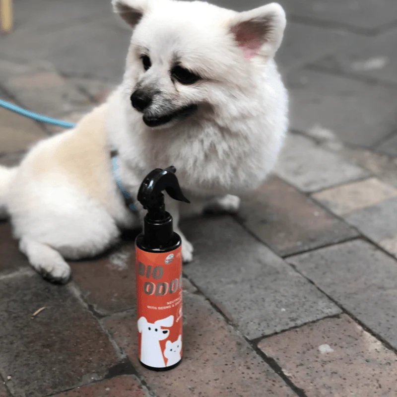 Xịt Diệt Khuẩn & Khử Mùi Thú Cưng Bio Odor 150ml - Ảnh 3